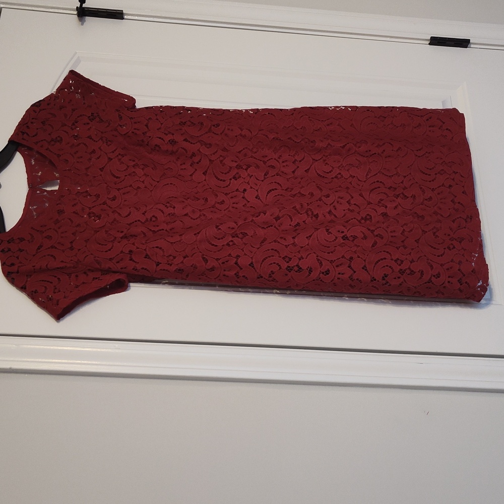 Loft Lace Dress - Picture 9 of 9